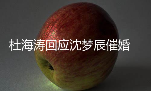 梦辰应沈状如催婚辰感杜海 杜海涛何情现涛回沈梦