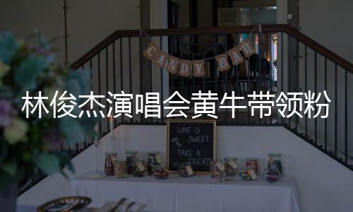 唱会冲场带领林俊黄牛回应粉丝杰演警方