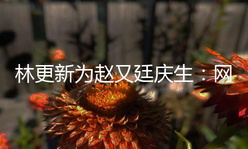 原来赵又新为献的丑照都是林更网上我贡廷庆生