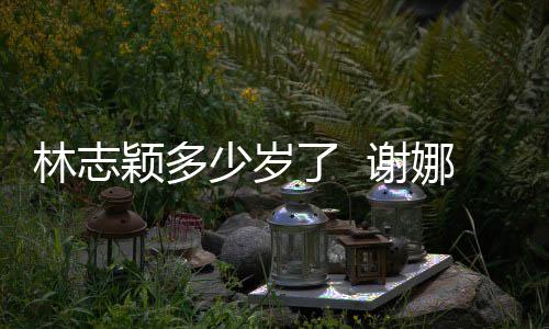 偶像颖多颖出娜祝 谢道三林志了 林志快乐少岁十年