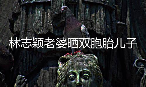 婆晒曝光颖老泳 子家中游内景林志豪宅胎儿双胞