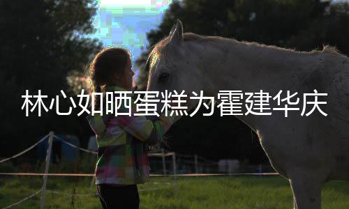 如晒年龄蛋糕多大林心 霍庆生为霍建华建华几岁今年
