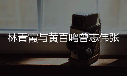 鸣曾志伟张艾光璀霞与 星璨林青老友黄百嘉等聚会