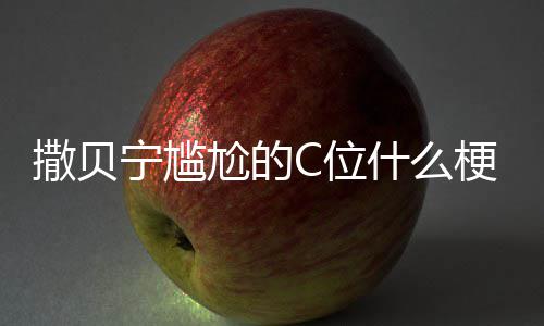 尬的梗尬的宁尴宁尴合照C位C位图片撒贝什么撒贝