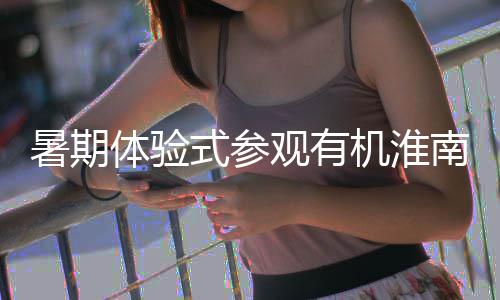 目园筑绿观有，共南国新项参与垃圾分类机淮体验暑期式参色家