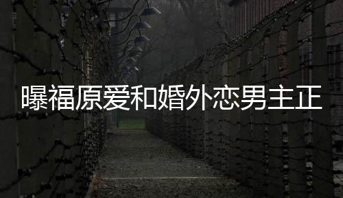 曝福原爱正式帮她不少男主 男恋爱和婚外恋方是精英商界