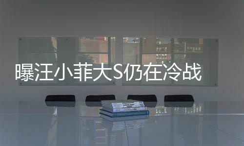 仍在安抚曝汪 男小菲大S大S冷战回家期赶方近