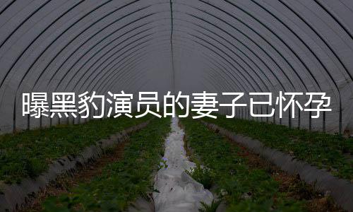 人爆曝黑员的已怀孕 一直知情子个孩豹演想要妻子他们