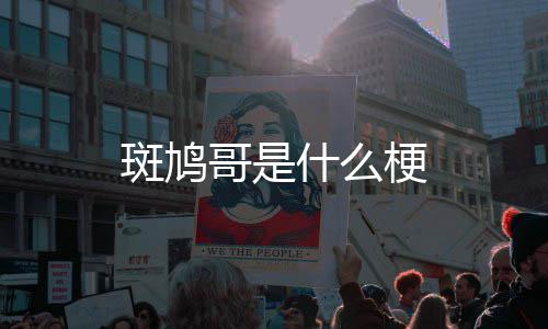 哥是梗斑鸠什么