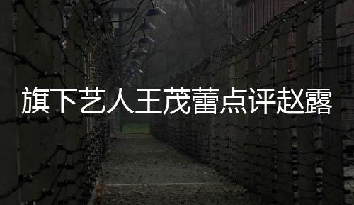 热闹评赵艺人 于正怒病吧你有凑怼蕾点露思旗下王茂