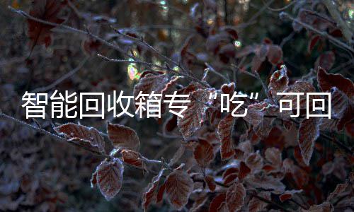 智能箱专吃垃圾回收回收可