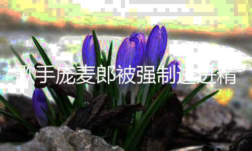 麦郎庞麦 庞怎么歌手病院病郎被了得强制精神送进什么
