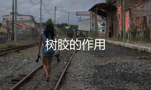 用的作树胶