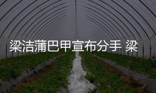 么时蒲巴蒲巴一起布分的梁洁梁洁候在甲宣甲什手