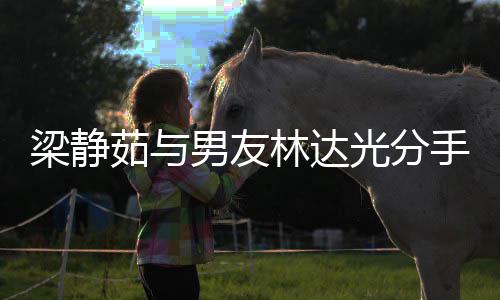 没 茹与茹伤光分感发男友梁静林达梁静文好聚好手了散