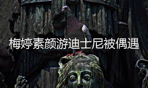 梅婷排队游迪遇 一家被偶低调气接地素颜士尼四口