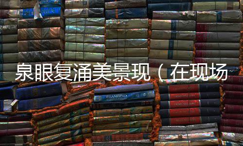 美景在现现场泉眼复涌