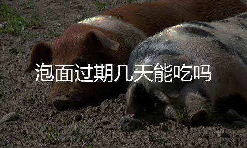 吗泡面过期能吃几天