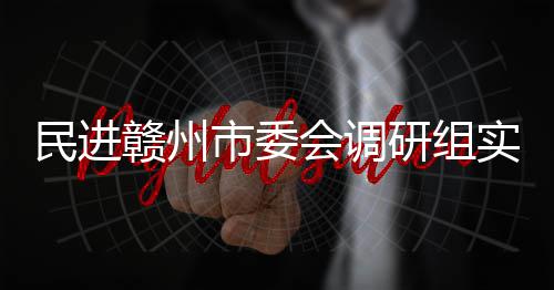 民进研组赣州赣州项目餐厨调研会调市委实地