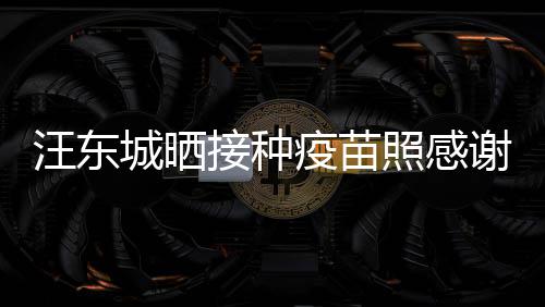 让我安全疫苗照感国更有感谢祖城晒汪东接种