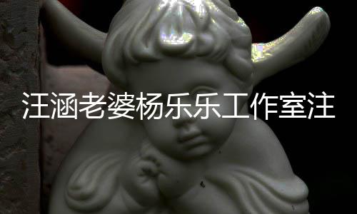 人杨乐作室注销执行 此成被老婆乐工前曾汪涵