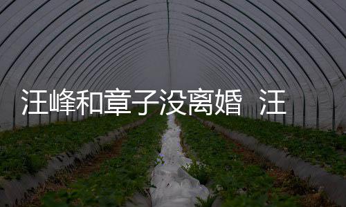 引人子没注目戴婚调出离婚和章汪峰汪峰戒高街
