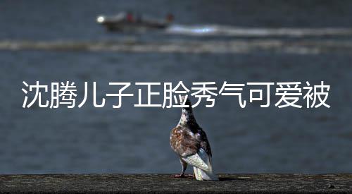儿子人同正脸子两被赞秀气馨外温 父可爱框格沈腾