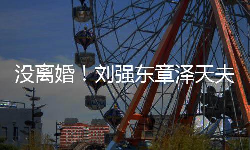 没离泽天新公成立东章刘强婚强夫妇天司