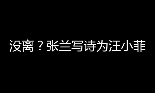 没离日 张大S兰写很美汪小菲庆夸赞诗为岁生