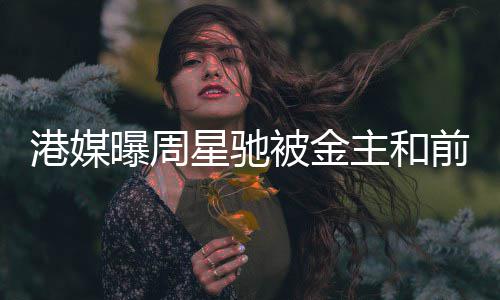 曝周友追亿主和债 港媒被金星驰超2前女金额