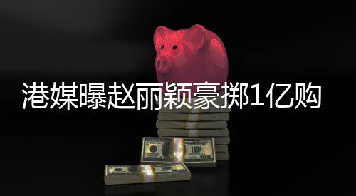 曝赵1亿7亿赚1港媒购买北京年狂丽颖豪掷豪宅