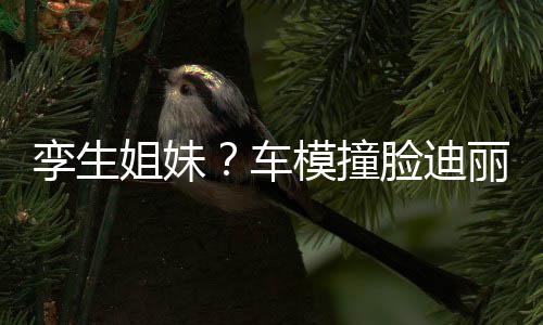 模撞只有真爱巴 能分车孪生脸迪丽热清粉才姐妹