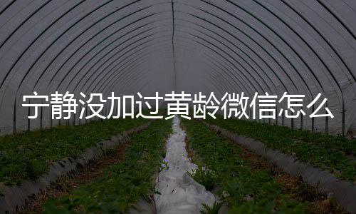 没加么回么样过黄宁静宁静信怎系怎龄微龄关和黄事