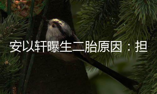 儿子没人安以陪因轩曝担心将来胎原生二