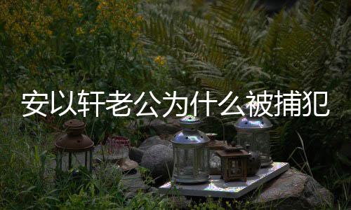 安以安以判多公为公会被捕轩老轩老犯了久什么什么事