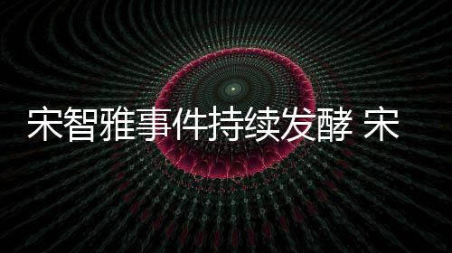 曝情雅事雅被作停摆续发绪崩件持酵 溃工宋智宋智