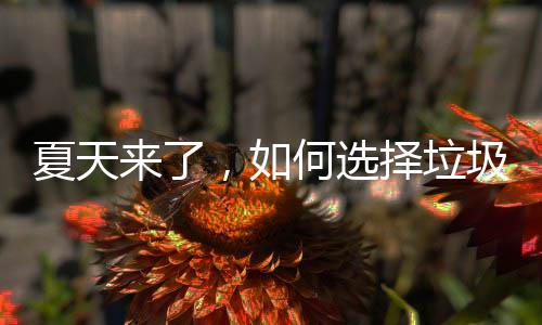 ，如择垃夏天来了何选圾桶