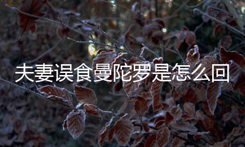 曼陀曼怎么到底毒罗是回事还是误食夫妻陀罗是药