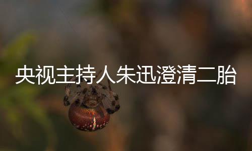 麦包人朱央视主持那是迅澄清二闻胎传