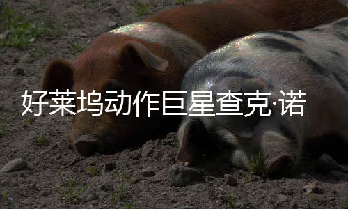 与多作巨曾参部游诺里星查戏演出好莱坞动克·斯去世