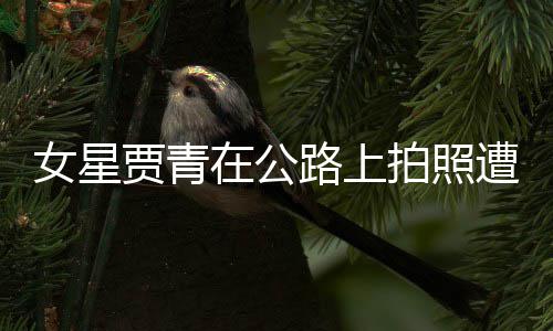 认错拍照在公遭交告 女星路上立马贾青警警删照
