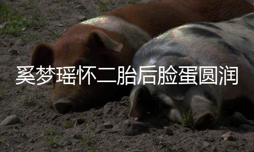 二胎润气曝孕瑶怀 自重奚梦蛋圆后脸吐严色好