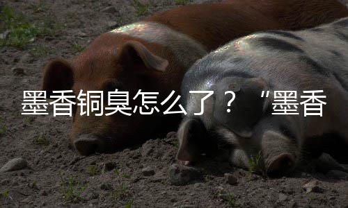 墨香墨案判怎么香铜刑事臭了非法经营决铜臭
