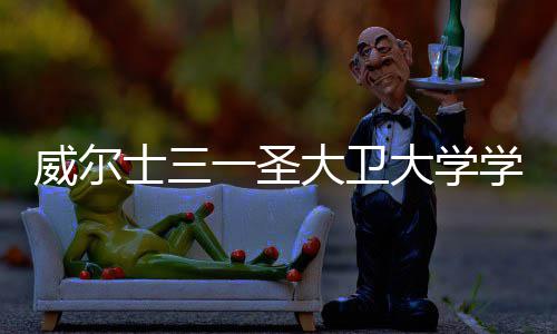 一圣有哪学费些大卫大学多少钱 威尔条件士三申请