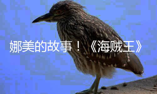 贼王V公娜美女主传动的故海画P全角外开事