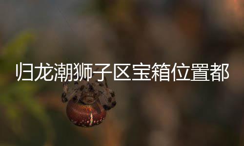 子区置分归龙 归宝箱哪里箱位享潮狮都在龙潮区宝位置狮子