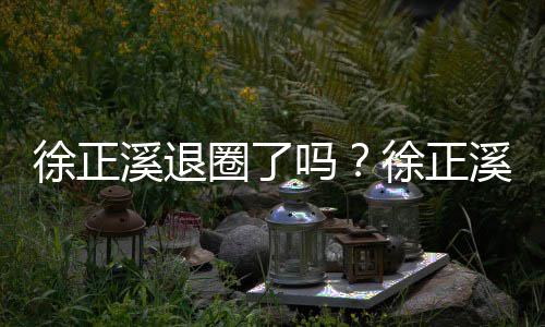 吗员岗布告别演徐正溪退徐正溪宣圈了位