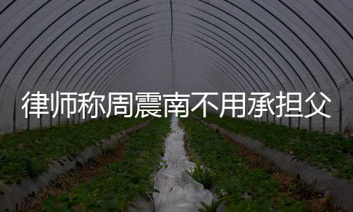 二代吗震南债务 周震南不用称周承担律师父母是富