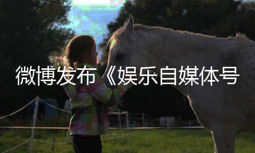 媒体娱规行行处罚措施定及乐自号违微博为界发布试