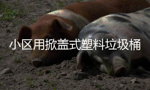 用掀盖式小区垃圾桶塑料